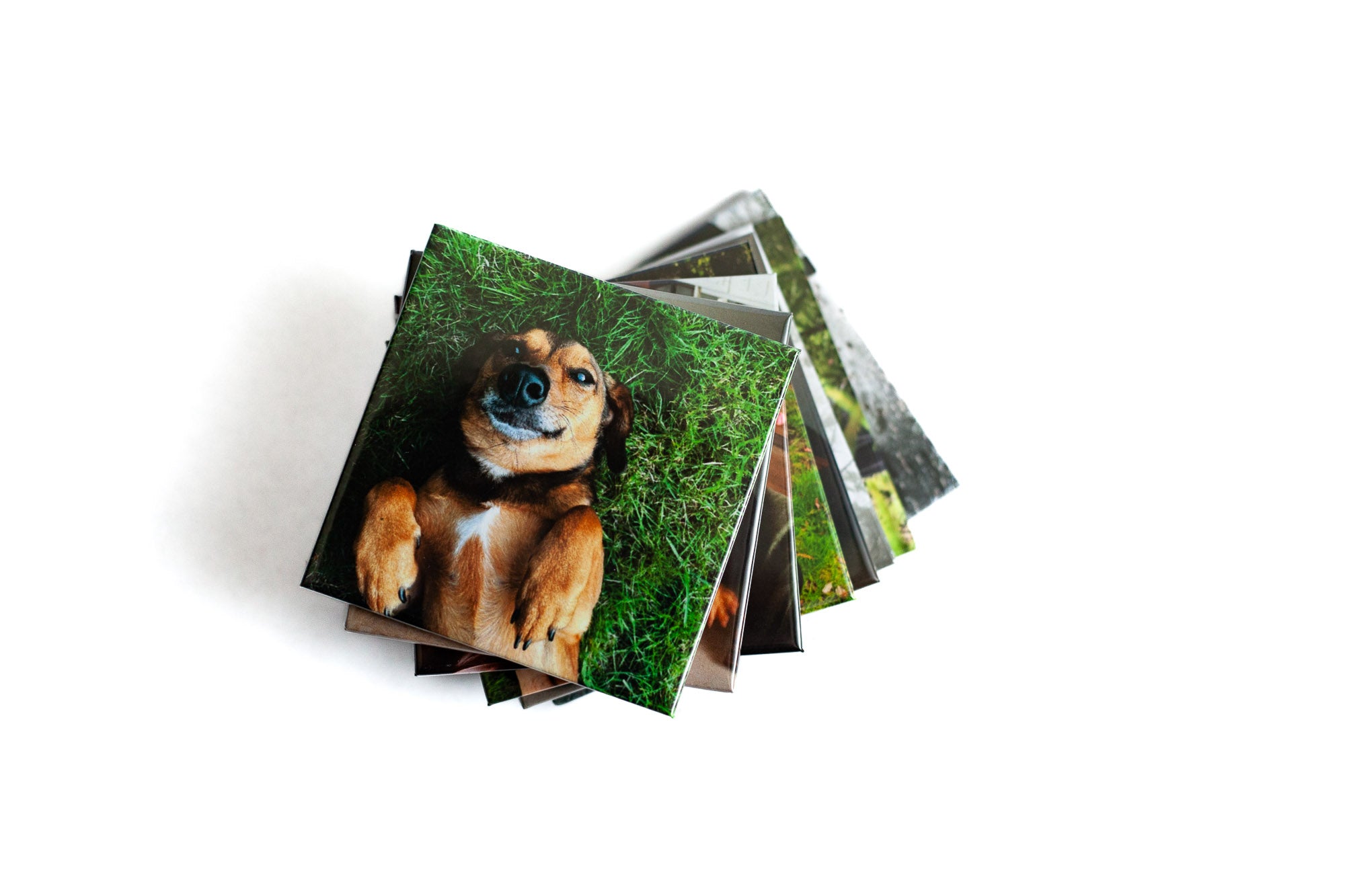 The Classic Eight (8)