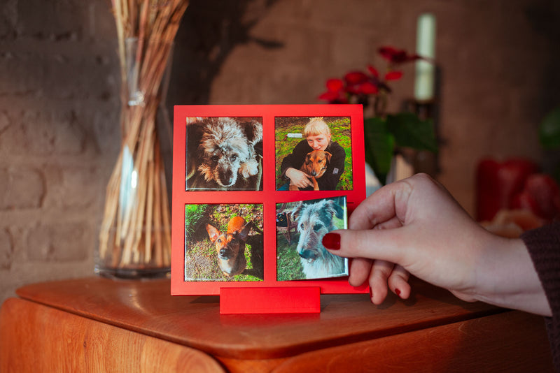 Mini Galerij + 4 Fotomagneten-zoom-