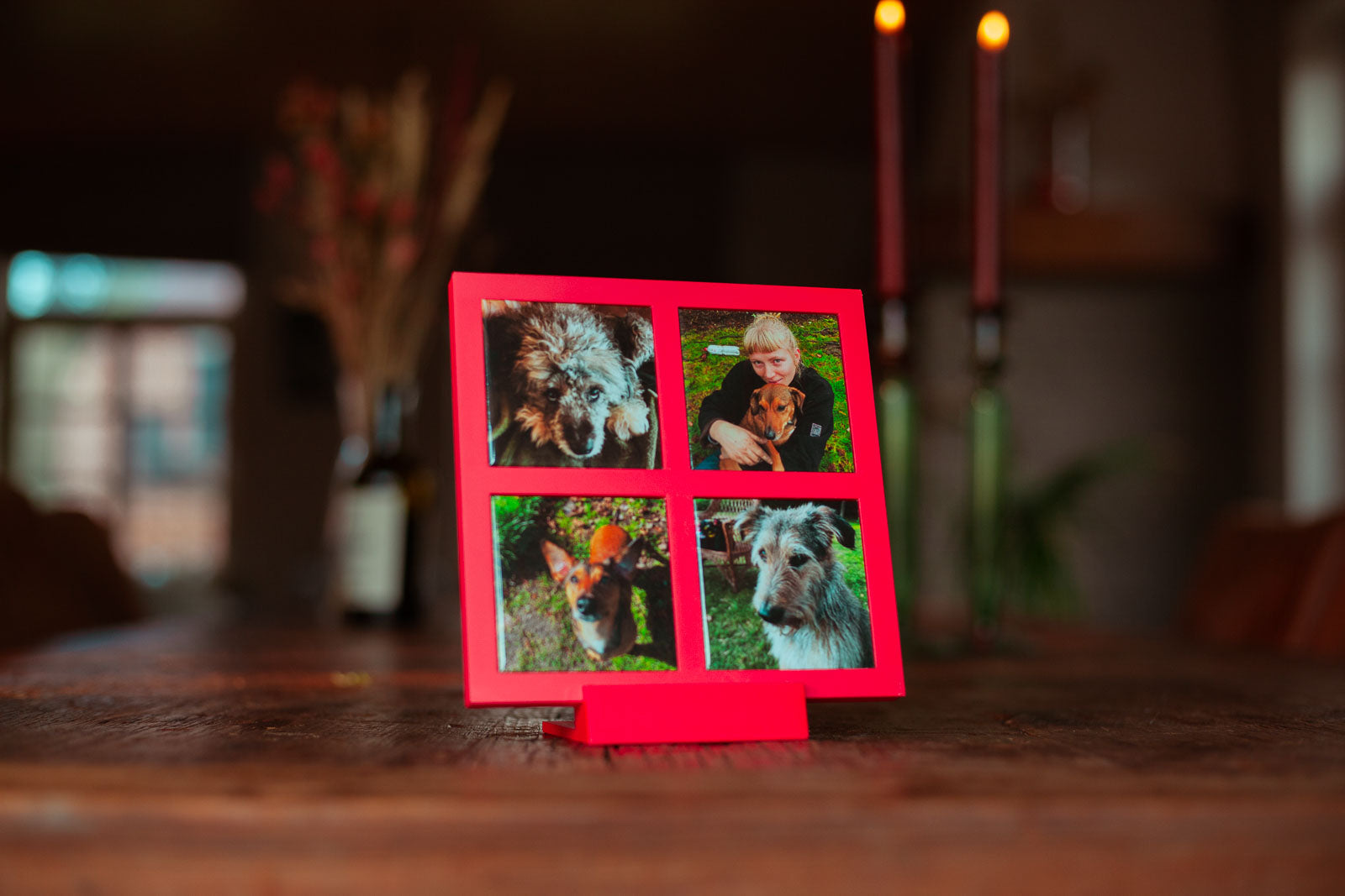 Mini Galerij + 4 Fotomagneten-zoom-6